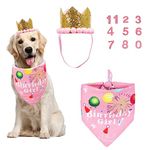 ADOGGYGO Dog Bandana Hat Set for Birthday Party Supply, Boy Girl Pet Birthday Scarf for Medium Large Dog (Large, Pink)