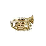 Stagg Bb Pocket Trumpet with case - Brass Lacquer