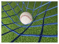 Baseball Bounce Back Net