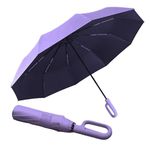 GaxQuly Umbrella for Men Women || Folding Umbrella With Carabiner Handle || 10 Reinforced Ribles || Windproof and Sunproof || Auto Umbrella Big Size for Men/Women/Kids (Purple)