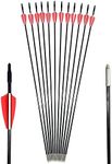 GPP Archery Beginner's First Arrows (30" Fiberglass Target Archery Arrows) - 12 Pack,Red