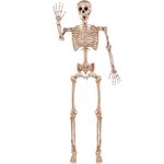 JOYIN 5.6 FT (170 cm) Halloween Posable Life Size Skeleton Full Body Realistic Bones with Movable Joints for Halloween Indoor and Outdoor Decoration