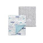 CREVENT 2Pcs 75cmX100cm Cute Cozy Fluffy Warm Baby Blankets for Infants Toddlers' Bedding Crib Cot Stroller - Grey Cloud + Mink Space