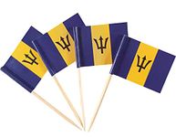 JBCD 200 Pcs Barbados Flag Toothpicks Cupcake Toppers Decorations, Cocktail Toothpick Flag Barbadian Cake Topper Picks Mini Small Flag Cupcake Pick Sticks