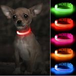 Light Up Collar For Small Dogs