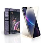 BLUEOWLSHIELD 6.1 Inch Blue Light Tempered Glass Screen Protector Compatible for Apple iPhone 11 & iPhone XR