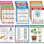 ZOIIWA 16Pcs Science Posters for Cl