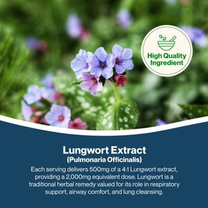Hepatica Lungwort Capsules 2000mg – Herbal Supplement