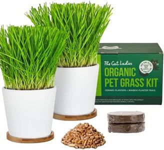 The Cat Ladies Cat Grass Growing kit with Organic Cat Grass Seed, Soil and Two Ceramic Planters with Bamboo Trays Natural Hairball Remedy