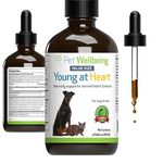 Pet Wellbeing Young at Heart for Dogs & Cats - Vet-Formulated - Supports Cardiovascular System | Heart & Circulatory Health - Natural Herbal Supplement 4 oz (118 ml)