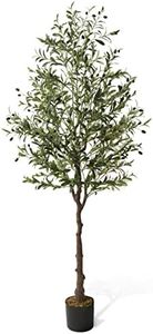 CAPHAUS 6 Feet, 72 Inch, Artificial Olive Tree, Faux Plant in Pot, Faux Olive Branch and Fruit, Fake Potted Topiary Tree with Dried Moss for Indoor Home Office Modern Housewarming Decoration Gift