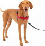 PetSafe Easy Walk No-Pull Dog Harne