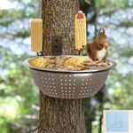 Ofasixx Squirrel Feeders for Outsid