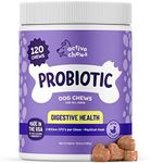 Active Chews | Pet Probiotics for Dogs | Dog Probiotics and Digestive Enzymes for Dogs Diarrhea, Gut Health for Dogs | Probiotic Chews for Dogs w/Fiber, Puppy probiotic Digestive Health, 120 ct