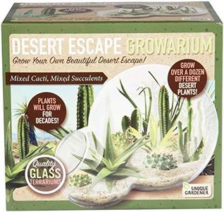 Unique Gardener Grow Your Own Desert Escape in A Quality Glass Terrarium - Easy to Maintain Cacti and Succulents - Over A Dozen Desert Plants That Will Last for Years!