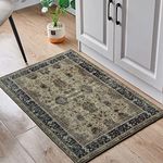 BRICHOEE Vintage Area Rugs 2x3 Feet Olive Thin Entryway Mat for Kitchen Foldable Machine Washable Indoor Doormat Distressed Boho Vintage Rug