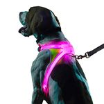 Noxgear LightHound - Revolutionary Illuminated and Reflective Vest for Dogs Including Multicolored LED Fiber Optics (USB Rechargeable, Adjustable, Lightweight, Rainproof) (Medium)