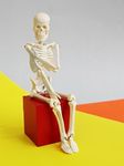 Labzio Micro Skeleton Model — 21cm Height, Anatomical Learning Human Skeleton for Students | Easy to Carry | Made of PVC Plastic | Mini Skelton Model for Science Laboratory, Home, Educational Trips