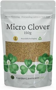 Micro Clov