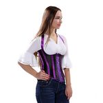 Hengzhifeng Underbust Corsets Women's Gothic Satin Striped Bustiers Top Plus Size (Small,Purple)