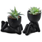 Der Rose Set of 2 Fake Plants Artificial Succulent Plants for Office Desk Accessories Black Bathroom Home Room Aesthetic Decor Indoor