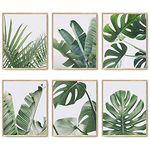 HoozGee Botanical Wall Art Prints Set of 6 Tropical Leaves Decor Plant Leaf Wall Art Canvas Prints for Wall Decor Green Wall Art Posters Set for Living Room Decor (8"x10" UNFRAMED)