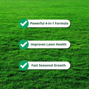 A1 Lawn 4-in-1 Double Strength Feed, Weed & Moss Killer – 10kg, High Iron