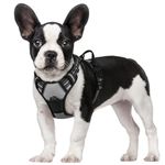 Pug Life Dog Harness