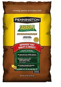 Pennington