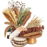 Natural Ear of Grain Flower&Herb Bedding Mate Habitat Decor, Adding Fun Hamster Accessories for Hamsters Gerbils Lemming