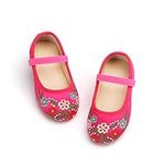 Tegeek Encanto Costume Shoes for Girls Embroidery Mary Jane Flats(Mirabel Pink/7M)