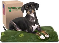 FurHaven P