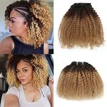 Kinky Curly Human Hair Weave 2 Bundles 14 14 Inch Short Curly Weave Black and Brown and Blonde Ombre 3 Tone Colored Hair Extensions Double Machine Wefted Weaving
