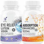 GNL Eye Supplements To Improve Vision With Lutein, Zeaxanthin, Vitamin A, C, D, E, And Omega 3 Fatty Acid To Support Reducing Dryness, Stress, Itchy, UV Light, & Redness In Eyes- 60 Capsules (Pack 1)