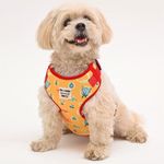 Mutt of Course Tom&Jerry X-Cheese Dog Harness|Neck-14" (S)|Easy Control Chest Belt For Small Dogs Like Shih Tzu,Lhasa Etc.|Washable&Adjustable Dogs Harness|For All Kinds Of Weather