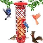 Squirrel Proof Bird Feeder for Outd