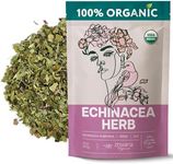 Echinacea Tea Organic – Echinacea Purpurea Herb Loose Leaf – Dried Medicinal Herbs for Tea – Equinacea Organica - Support Immune System, Body Defenses, Andioxidant – Large 10 oz Bag