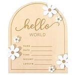 Wooden Hello World for Baby Showers