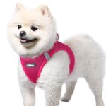 rabbitgoo Dog Harness Small Dog, Step-in Soft Mesh Puppy Harness with Reflective Strips, Lightweight Breathable Pet Vest for Walking Training, Hot Pink, S