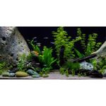 AWERT Vinyl Underwater Aquatic Plant Fish Tank Background Stone River Bed & Lake Aquarium Background 48x18 inches