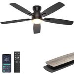Ohniyou 52'' Ceiling Fan with Lights: Smart Fan with remote & APP Control - Low Profile Ceiling Fan with Quiet Performance - Flush Mount Outdoor Ceiling Fan (Black)