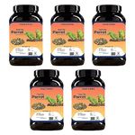 Foodie Puppies Parrot Bird Food for Big Parrot Birds - (5Kg, Container) Mix Seeds Fortified with Almonds, Peanuts, Pumpkin Seeds & Red Chillis for African Grey, Macaw, Cockatoo, Indian & Other Parrots