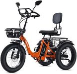 NARRAK Electric Tricycle for Adults