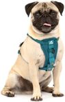 Kurgo Enhanced Strength Tru-Fit Dog
