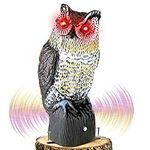 Eowllo Plastic Owl to Keep Birds Aw