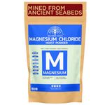 Hollywood Secrets Natural Magnesium Chloride Minerals Pharma Grade 500gm