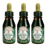 3 Bottles Apiario Silvestre Bee Pollen Green Bee Propolis Liquid Glycolic Extract -Non Alcoholic, Wax Free