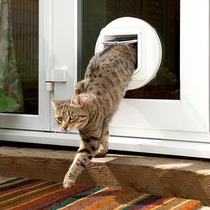 SureFlap Microchip Cat Flap – White Pet Door