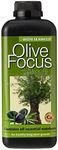 Olive Focus Liquid Concentrated Fer