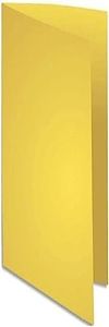 Exacompta - Réf. 160005E - Paquet de 100 chemises rigides FLASH 220 g/m2 aux teintes vives - 100% recyclées et certifiées Ange Bleu - dimensions 24x32 cm pour format A4 - couleur canari